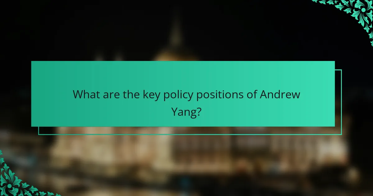 What are the key policy positions of Andrew Yang?